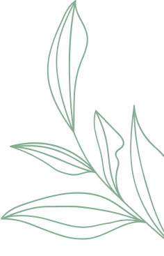 Green leaves vector